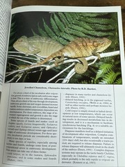 The Biology Husbandry and Health Care of Reptiles Vols. 1, 2 & 3 HC/DJ – VGC
