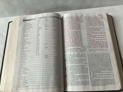 NIV Study Bible 10th Anniversary Edition Bonded Leather Zondervan US Print