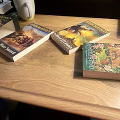 Robin McKinley Collection by Robin McKinley (2002) Spindle’s End Blue Sword Hero