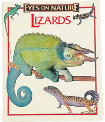 Eyes On Nature – Lizards – Paperback Book by Robert Matero – PB Book 1977