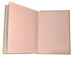 Upasaka Zhou by Anshi Anshi Quanshu in Four Books Chinese Morals Ltd. Ed. 5,000
