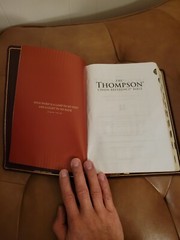 Nkjv, Thompson Chain-Reference Bible, Genuine Leather, Calfskin, Burgundy, …