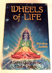 Wheels Life Users Guide Chakra System Judith Anodea Body Mind Spirit Self Help