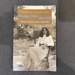 Danger Wall May Fall — Lynn Luria-Sukenick | Literary Short Stories