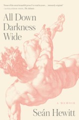 All Down Darkness Wide: A Memoir – Hardcover By Hewitt, Sen – GOOD