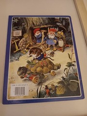 The Woodland Folk Meet The Gnomes By Tony Wolf Rand McNally, 1983 HC Illustra.