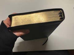 ESV Single Column Personal Reference Bible- Extra Ribbons Blue Gold Gilded