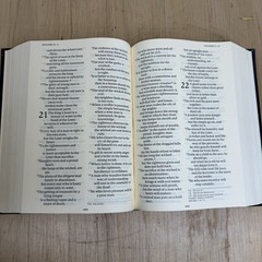 IGNATIUS HOLY BIBLE RSV SECOND CATHOLIC ED LARGE PRINT BLUE LEATHER HARDCOVER