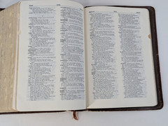 BISON GRAIN!✝️Vntg Ryrie Study Bible NASB 1978 Red Letter Moody Press Tab Index