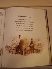 The Woodland Folk Meet The Gnomes By Tony Wolf Rand McNally, 1983 HC Illustra.