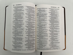 NIV Bible Zondervan Personal Size Large Print Leathersoft Chocolate/Amber 2011