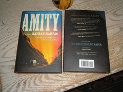 SIGNED 1st print, 1st edition AMITY : A Novel by Nathan Harris (2025, NEW HC)