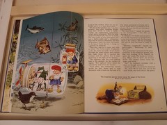 The Woodland Folk Meet The Gnomes By Tony Wolf Rand McNally, 1983 HC Illustra.