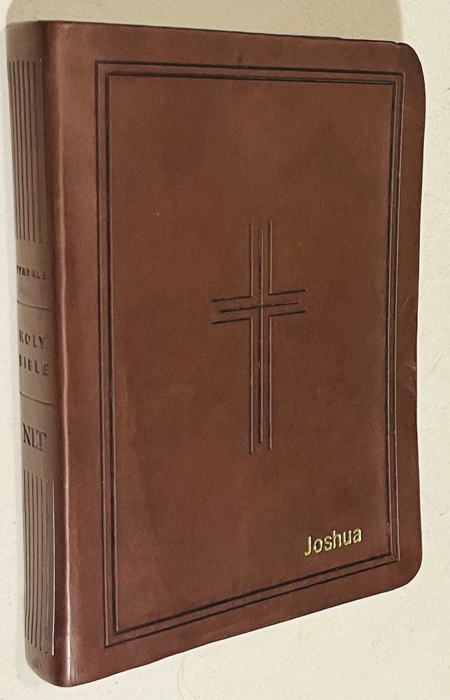 NLT Premium Value Compact Bible, Filament Enabled (LeatherLike, Dark Brown Fra..
