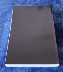 FINAL JUDGMENT Michael Collins Piper Trade Paper Wolfe Press 1993