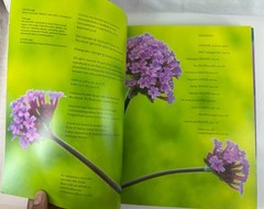 2-Book Bundle Christopher Lloyd Colour (2004) & Succession Planting (2007)