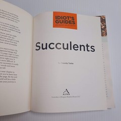 Succulents Care Guide Propagation Selection Pairing Crafts Terrarium Bouquet