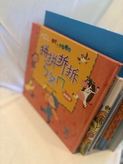 繁體中文幼兒繪本與教材 11本優質合售