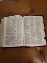 Nkjv, Thompson Chain-Reference Bible, Genuine Leather, Calfskin, Burgundy, …