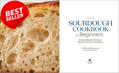 Sourdough Cookbook for Beginners Step-by-Step Guide to Fermented Bread – US