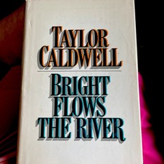 Bright Flows The River by Taylor Caldwell hardcover dustjacket 1978 vintage