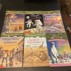 Magic Tree House + Merlin Missions + Research Guide Lot Of 51 PBs Acc-VG Cond