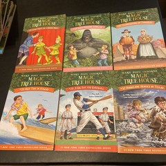 Magic Tree House + Merlin Missions + Research Guide Lot Of 51 PBs Acc-VG Cond