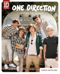 One Direction: Behind the Scenes One Direction paperback Used – Like New