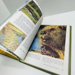 The Wonderful Worlds of Walt Disney 4 Book Boxed Set Golden Press Vintage 1965