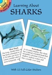 Learning About Sharks (Dover Little Activity Books: Sea Life) by Jan Sovak, Acce