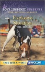 Explosive Situation by Reed, Terri