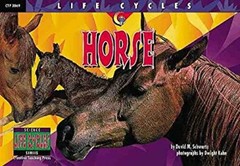 Horse Paperback David M. Schwartz