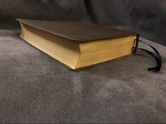 lsb inside column reference Legacy Standard Bible Leather Brown