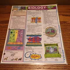 Quick Study Academics BIOLOGY Laminated Study Aid Chart