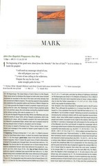 NIV 2011 Study Bible -Chocolate/Caramel – r$79.99- SALE!! SLIGHTLY IMPERFECT