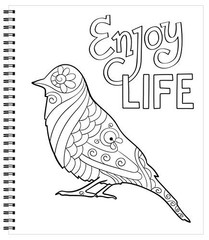 Large Print Easy Color & Frame – Calm (Stress Free Coloring Book)