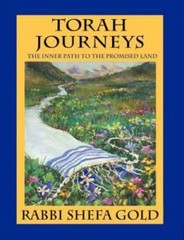 Torah Journeys: The Inner Path to the Promised Land, Rabbi Shefa Gold, Good Book