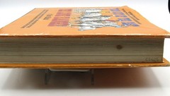 “FROM OUT OF THE PAST A PICTORIAL HISTORY OF THE LONE RANGER” BOOK-DAVE HOLLAND