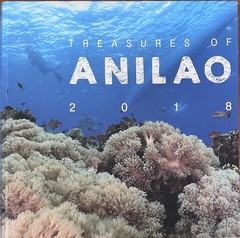 Philippines Diving: Anilao Batangas Verde Island Passage Coral Reef Photography