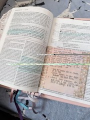 NIV Life Application Study Bible Third Edition Large Print Red Letter Lay-Flat