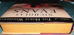 Divide by Nicholas Evans 1ST Edition, 2011 Hard Cover W/Dust Jacket