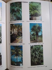 Betrock’s Reference Guide to Florida Landscape Plants by Timothy Broschat