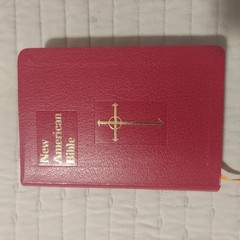 Saint Joseph Edition of The New American Bible Illustrated Simulated Leather