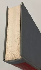 Farewell to the South – Robert Coles 1972 1st Ed Hardcover Civil Rights History