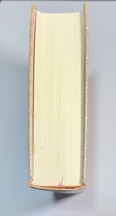 Upasaka Zhou by Anshi Anshi Quanshu in Four Books Chinese Morals Ltd. Ed. 5,000