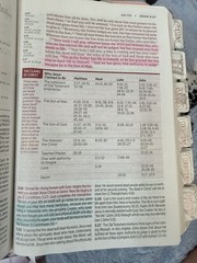 NIV Life Application Study Bible Third Edition Large Print Red Letter Lay-Flat