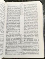 NIV Study Bible