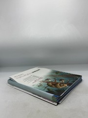 enVision Mathematics Common Core Teacher’s Edition Grade 2 Vol 1 2020 Savvas