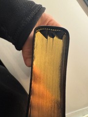 ESV Single Column Personal Reference Bible- Extra Ribbons Blue Gold Gilded