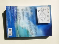 Elsevier Ocean Engineering Book: Stability & Safety Of Ships Risk Of Capsizing